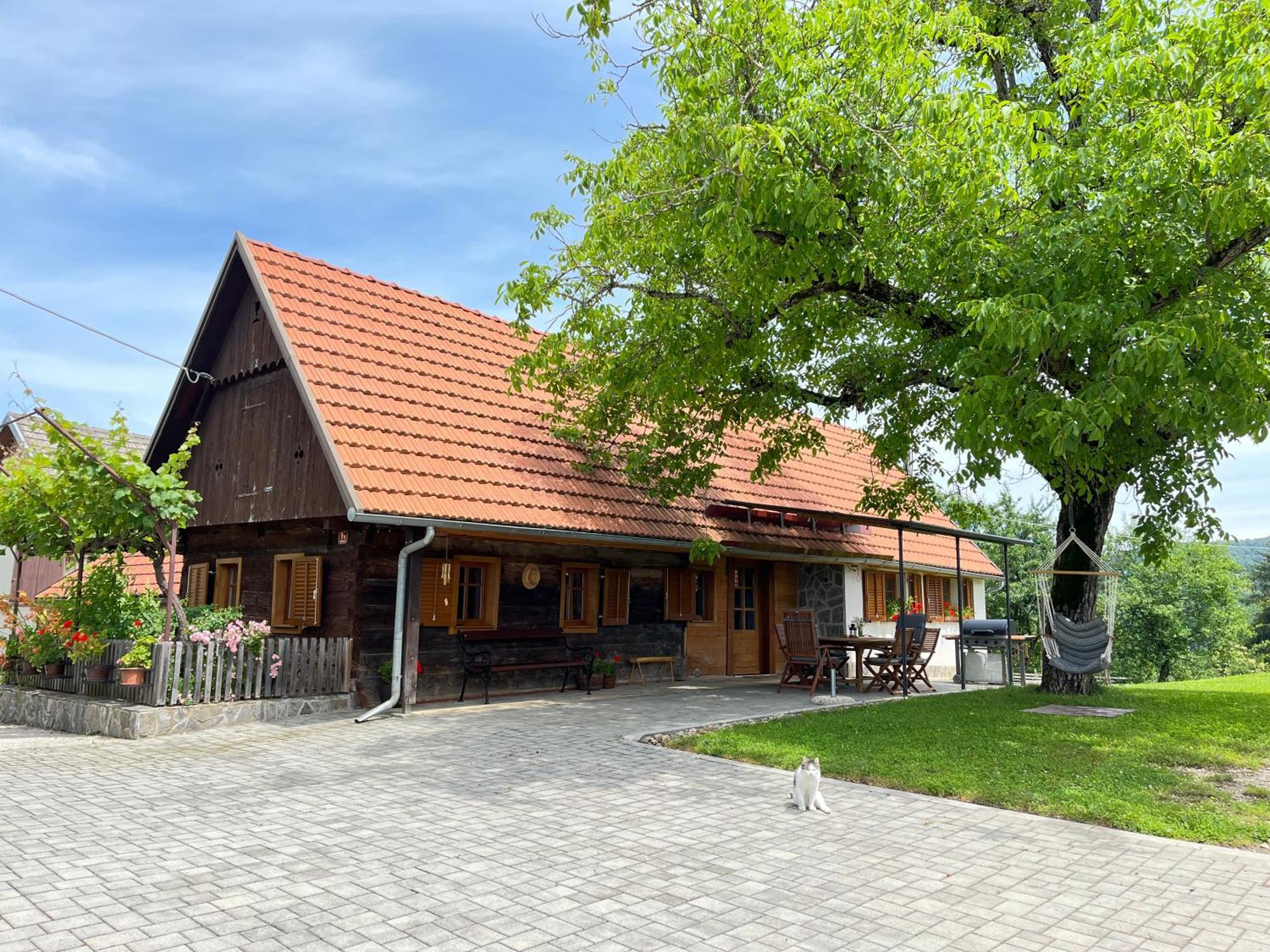 Villa Domacija Brdar Adlesici Esterno foto